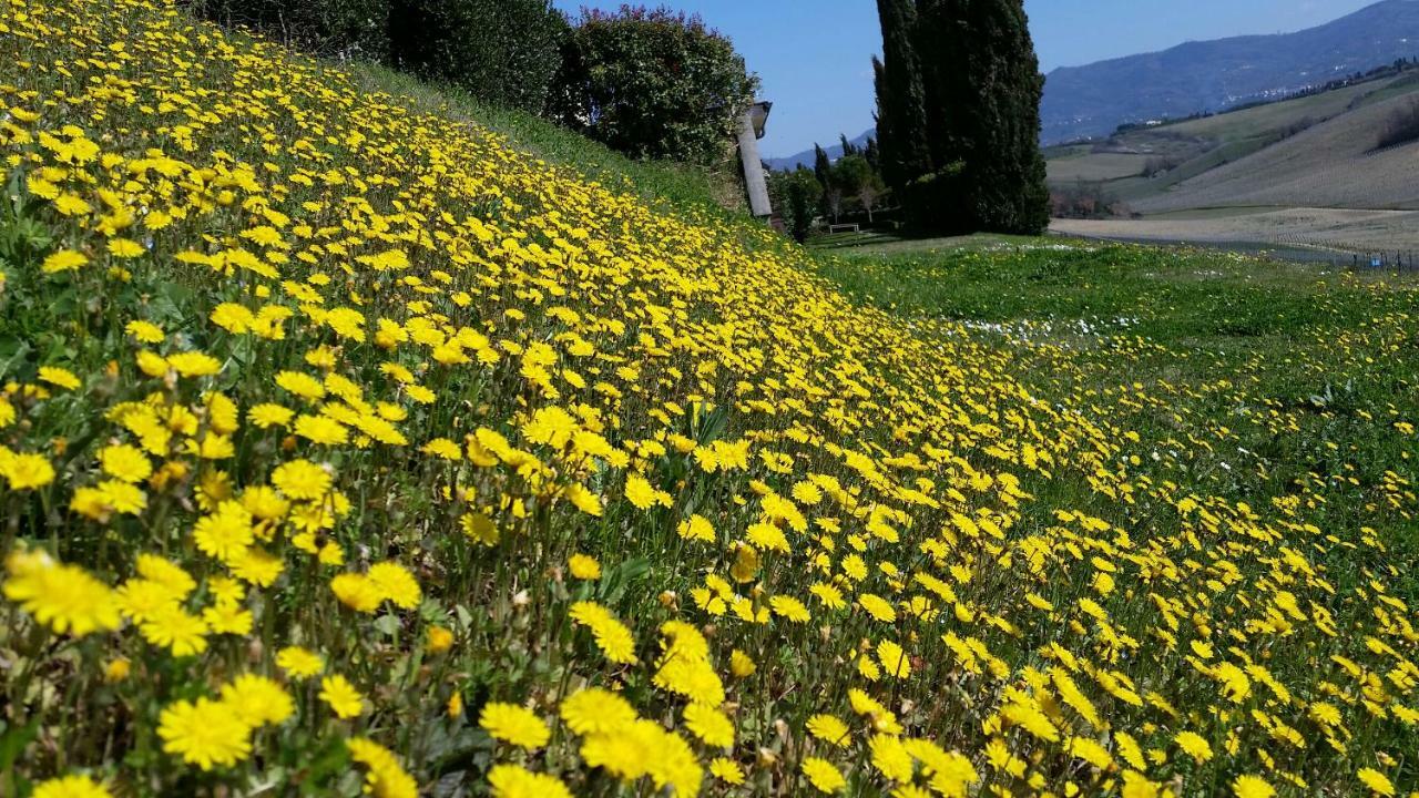 Casale Di Valle Vila Vinci Exterior foto