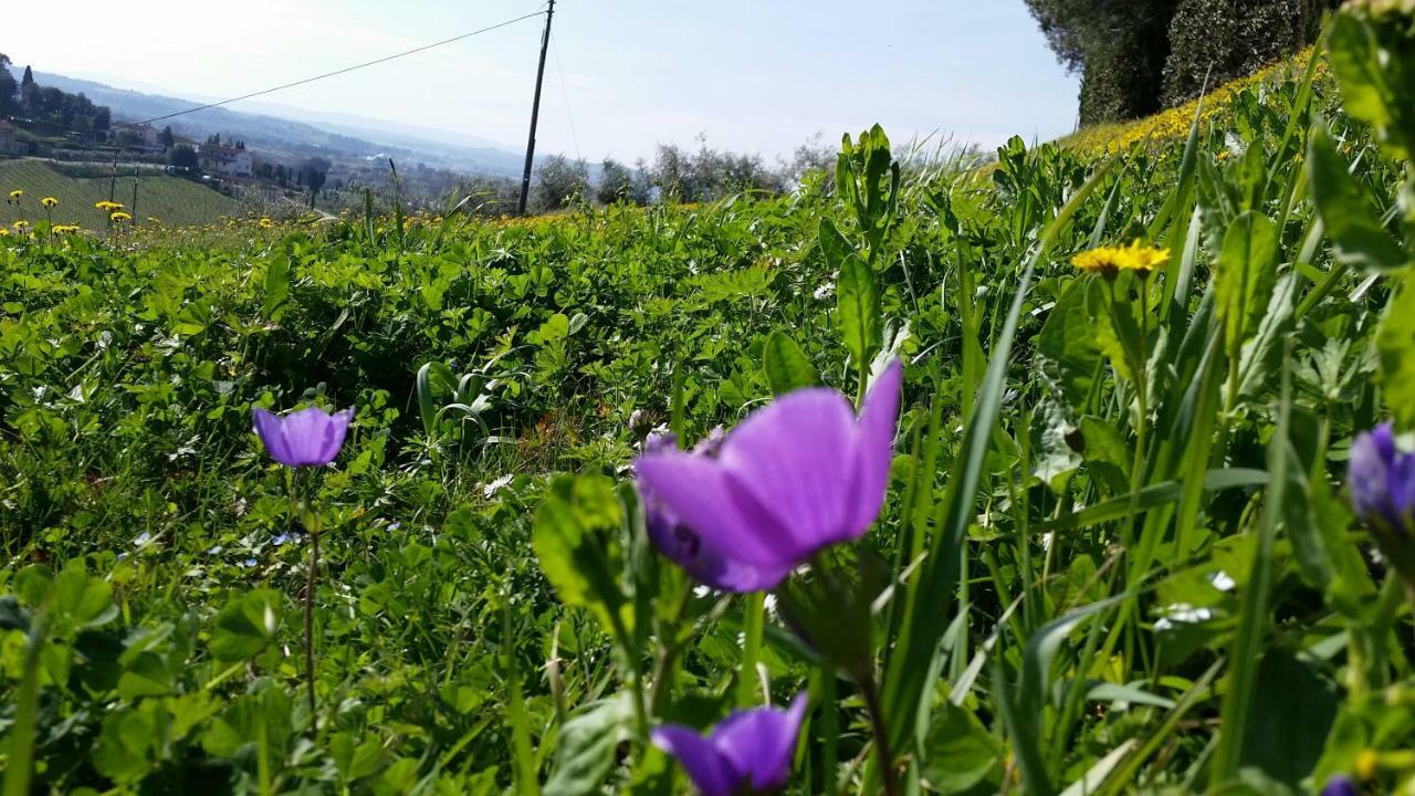 Casale Di Valle Vila Vinci Exterior foto