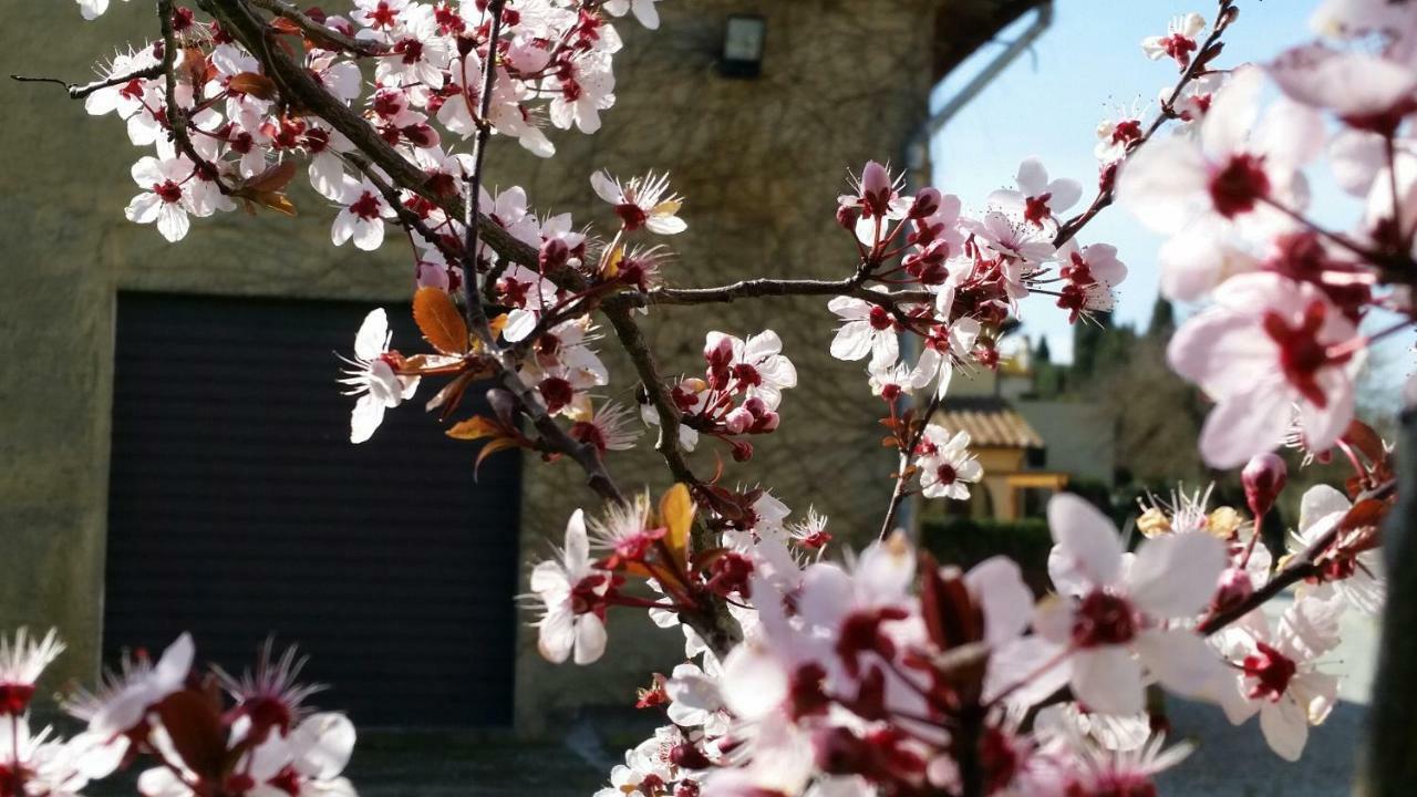 Casale Di Valle Vila Vinci Exterior foto